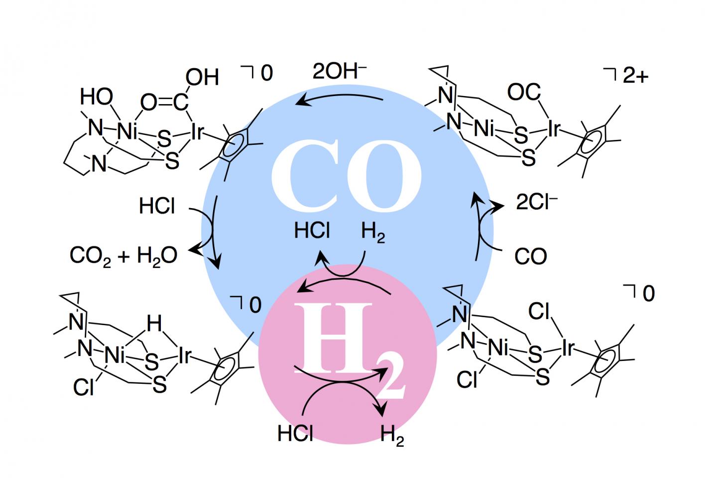 Reaction Mechanism