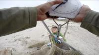 NOAA Fisheries Wildlife Biologist Sharon Melin Weighing Pups