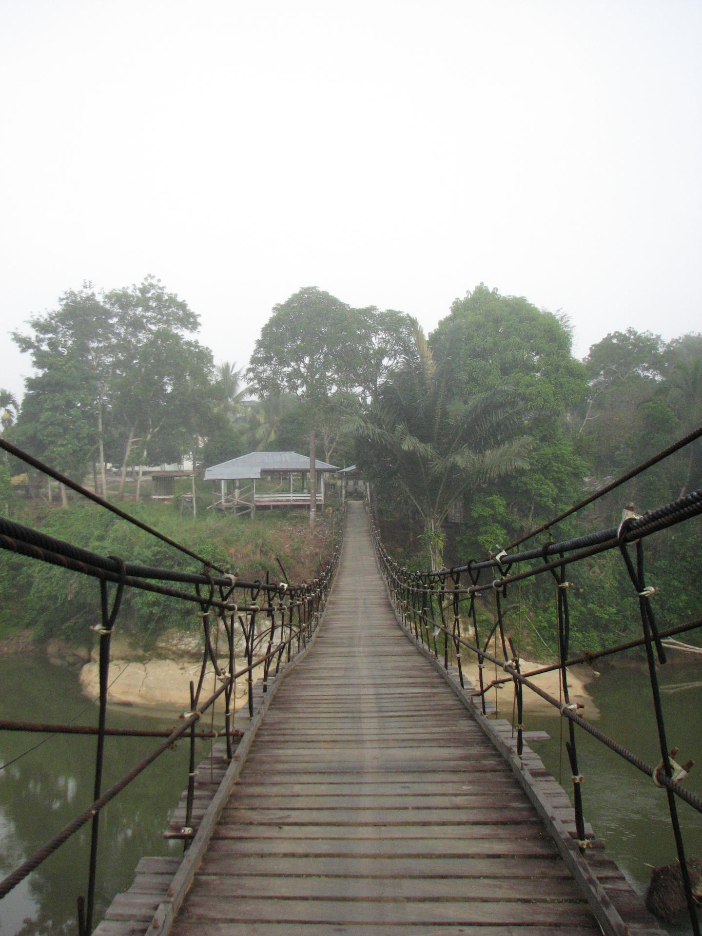 Malagasy Origins