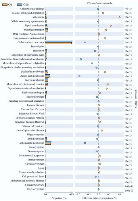 Functional prediction of gut microbiota in the G0 and G10 groups.