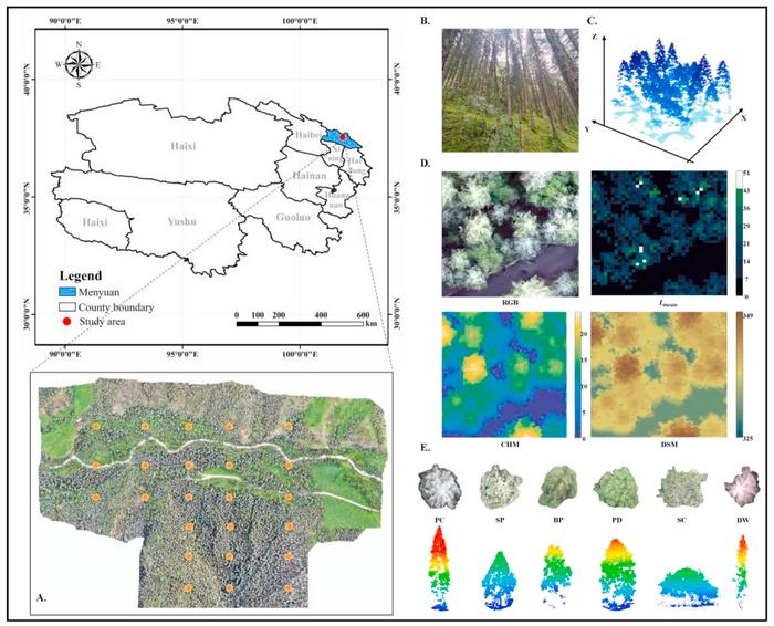 The study area and UAV RGB-LiDAR data.