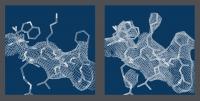 Structural Elements of Photosystem II