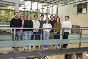 Molecular mechanism for fatal nephritis elucidated