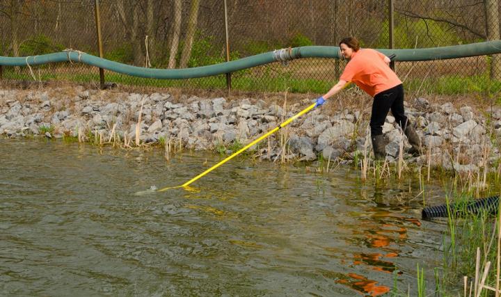 Water Sampling
