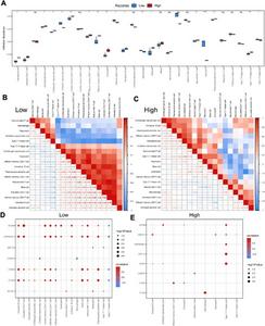 Immune cell infiltration analysis between the high and low A-score groups.