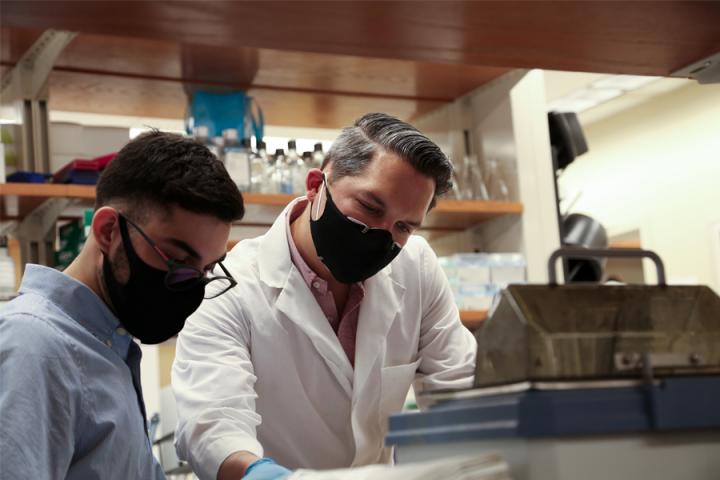 Lab