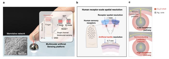 Figure 1. Operating principles and key characteristics of the multimodal artificial sensing platform