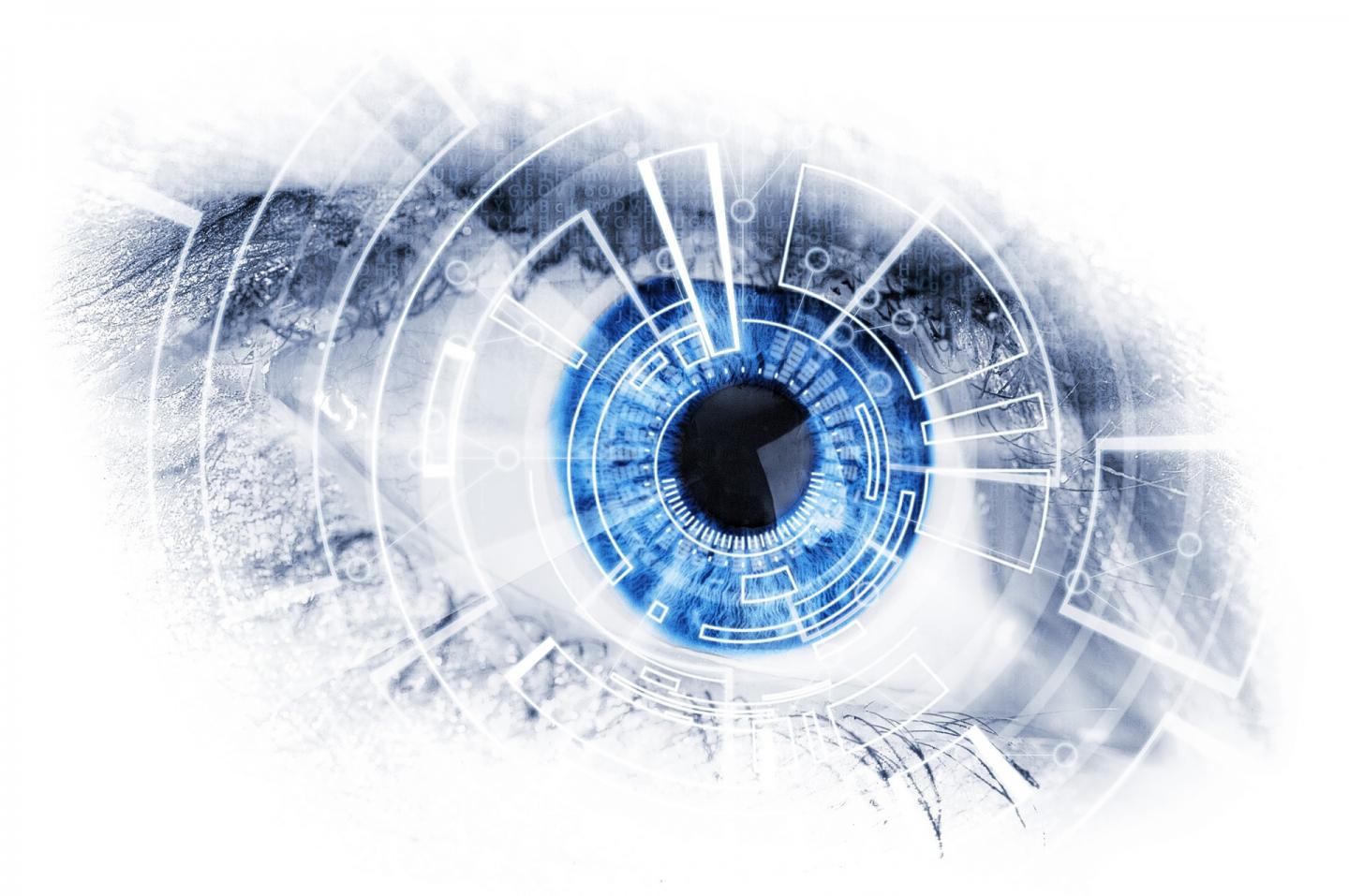 Of Mice, Men and... Computers: Common Foundations of Biological and Artificial Vision