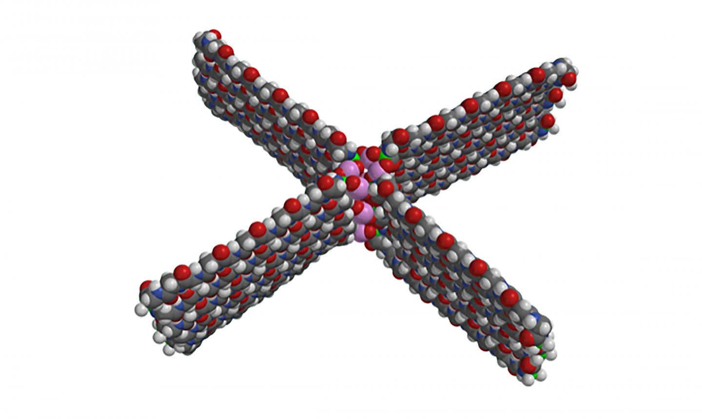Polymers in Meteorites Provide Clues to Early Solar System