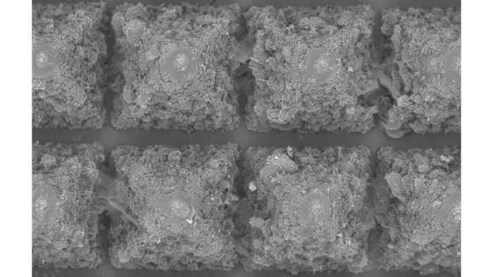 Dissolvable, microscopic needles light the way for cancer treatments