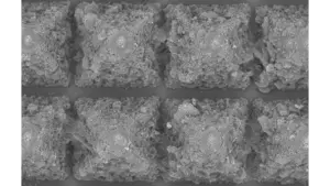 Dissolvable, microscopic needles light the way for cancer treatments