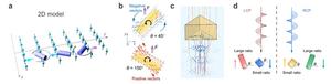 Figure 2 | Simulation of morphology- and rotation-induced optical torques and forces.