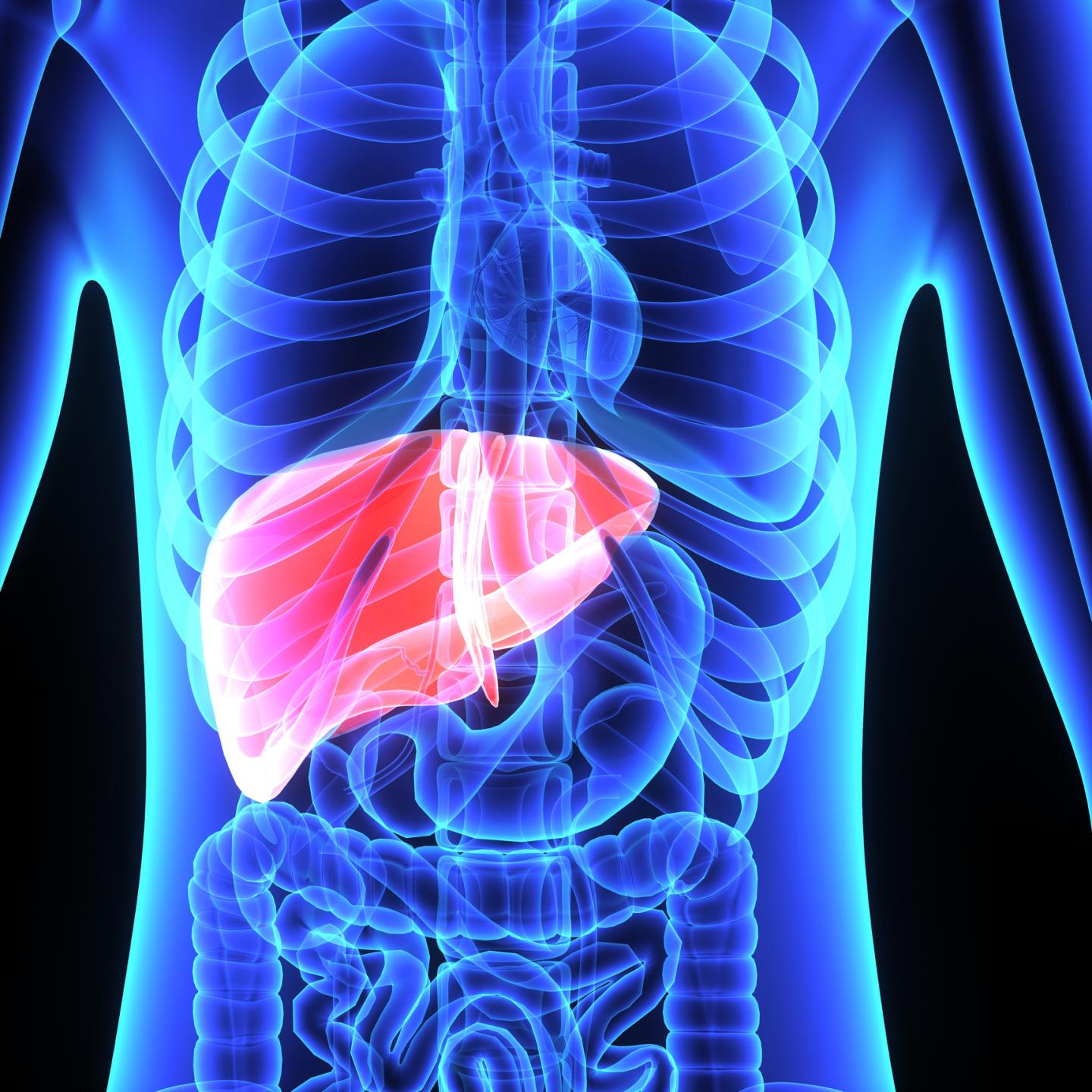 Liver Pic