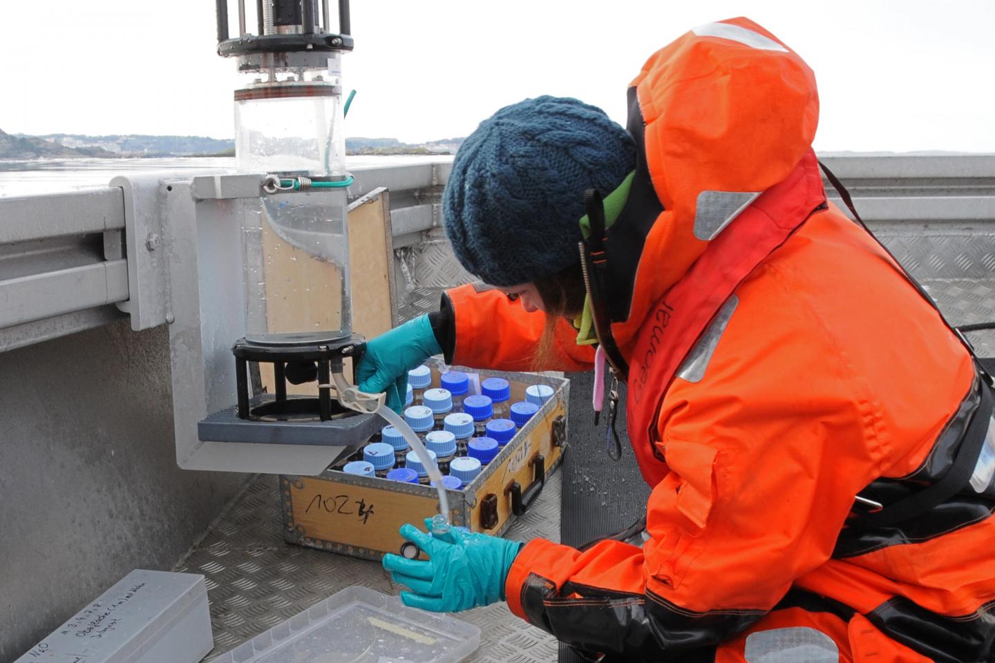 Is the Ocean More Resilient to Acidification Than We Thought? (1 of 7)