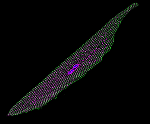 Gene Therapy in Heart Cell