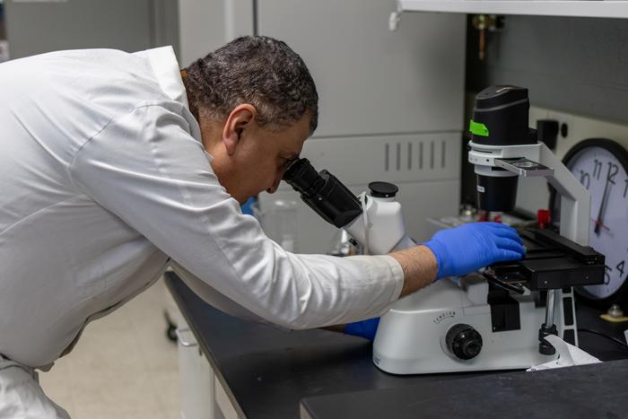 Mohamed Khalil in lab