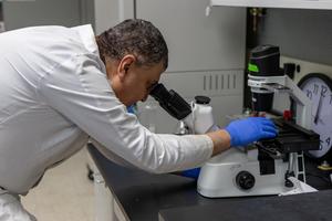 Mohamed Khalil in lab