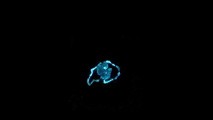 Algae luminate a CU buffalo pattern