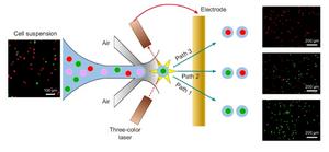 Channel-Free Single-Cell Sorting in Air with Tunable Paths.