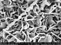 Top View Microphotograph