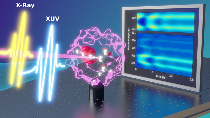 Fingerprints of ultrafast electron-nuclear dynamics obtained with attosecond transient absorption spectroscopy.
