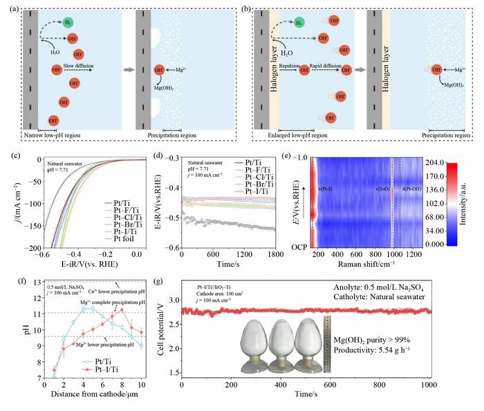 Electrochemical performances and characterization of the halide ligand modified cathode