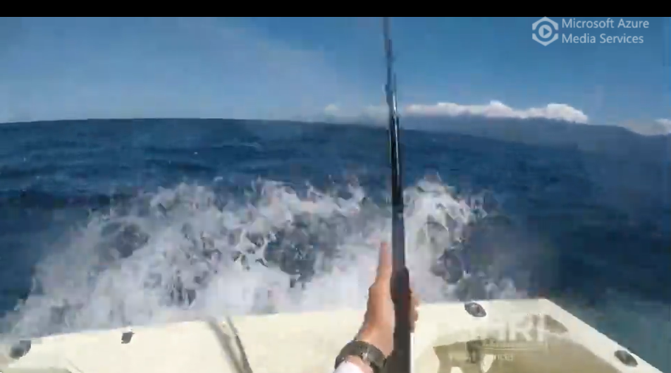 Sailfish Hunting