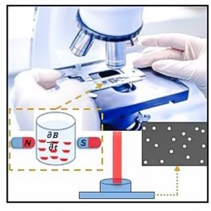 Malaria detection illustration