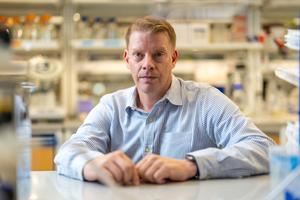 Cardiovascular research