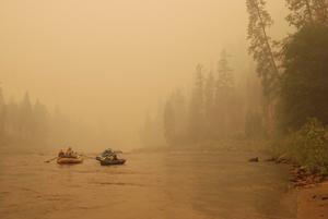 Wildfire