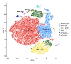Single cell sequencing in lungs