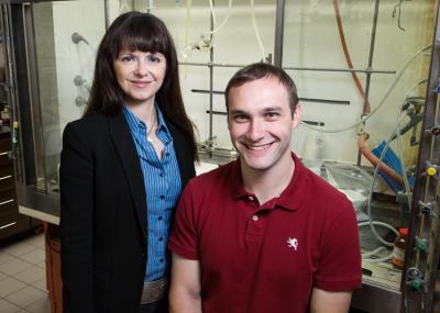 M. Christina White and Paul Gormisky, University of Illinois at Urbana-Champaign  
