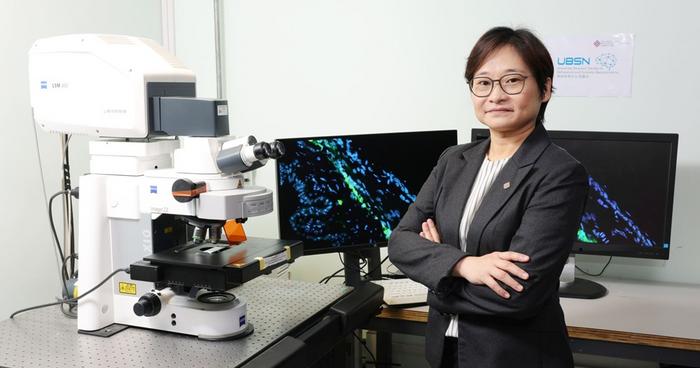 PolyU scholar discovers key mechanism of intraocular pressure regulation suggesting novel treatment approaches for glaucoma