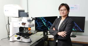 PolyU scholar discovers key mechanism of intraocular pressure regulation suggesting novel treatment approaches for glaucoma