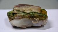 Cyanobacteria from the Mars Desert Research Station (MDRS)