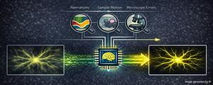 AI Computation Enables Clearer Views of the Deep Brain, Bypassing the Need for Expensive Equipment​