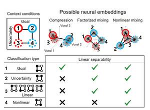 Uncovering brain’s secret to stable yet flexible learning – paving the way for human-like AI​