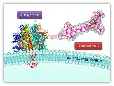 AT Synthase