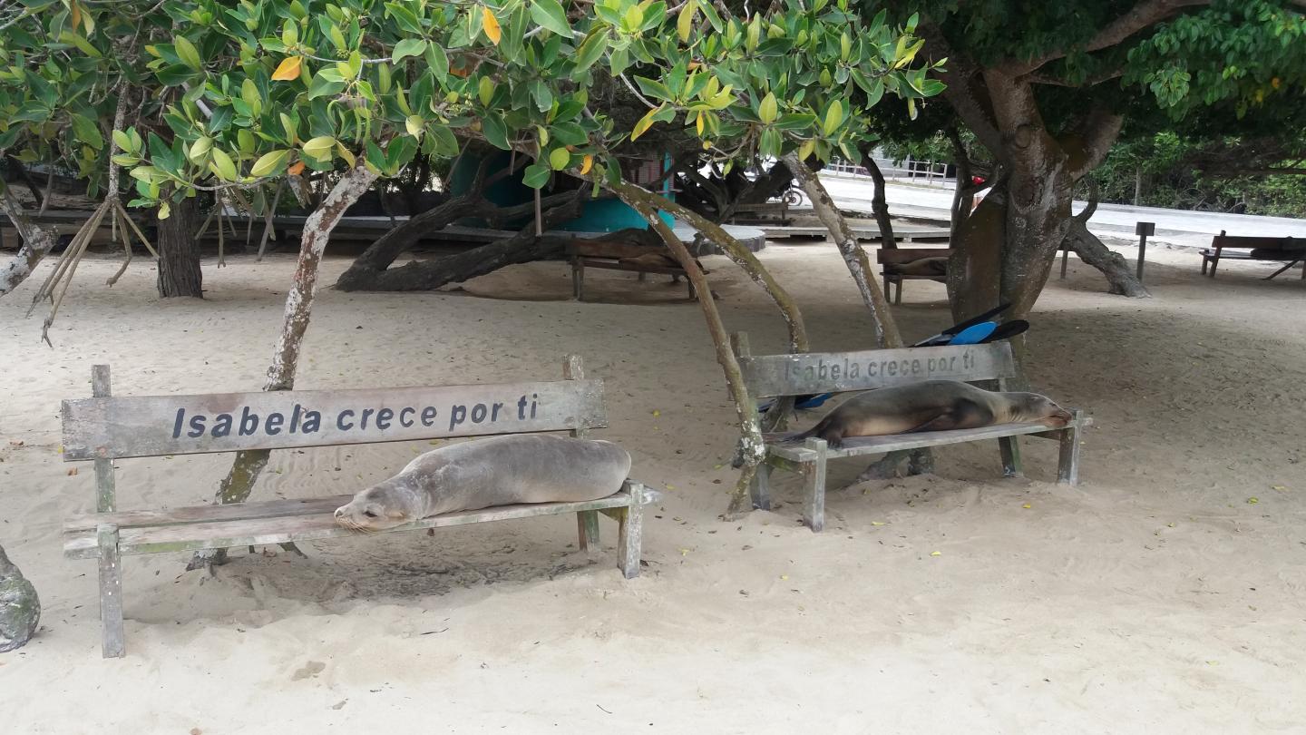 Isabela Island