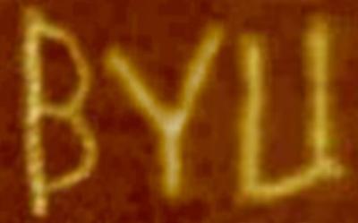 BYU spelled with DNA