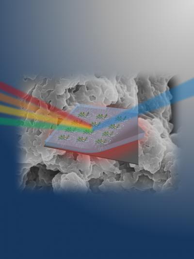 DNA-Based Thin Films