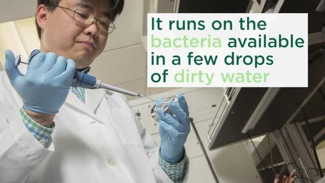 Researcher is Using Bacteria, Paper to Create Clean Energy