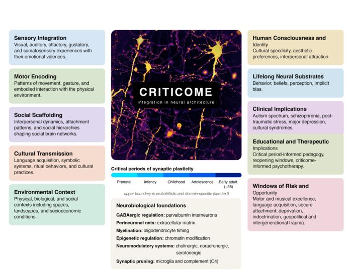 The criticome framework: Understanding the criticome.