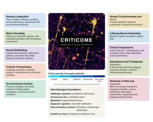 The criticome framework: Understanding the criticome.