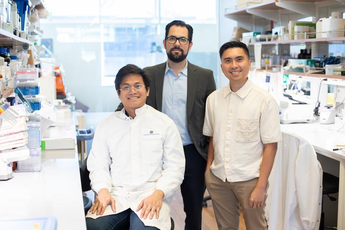 UT Dallas researchers