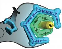 Wrench 1.7 Nanometers Wide