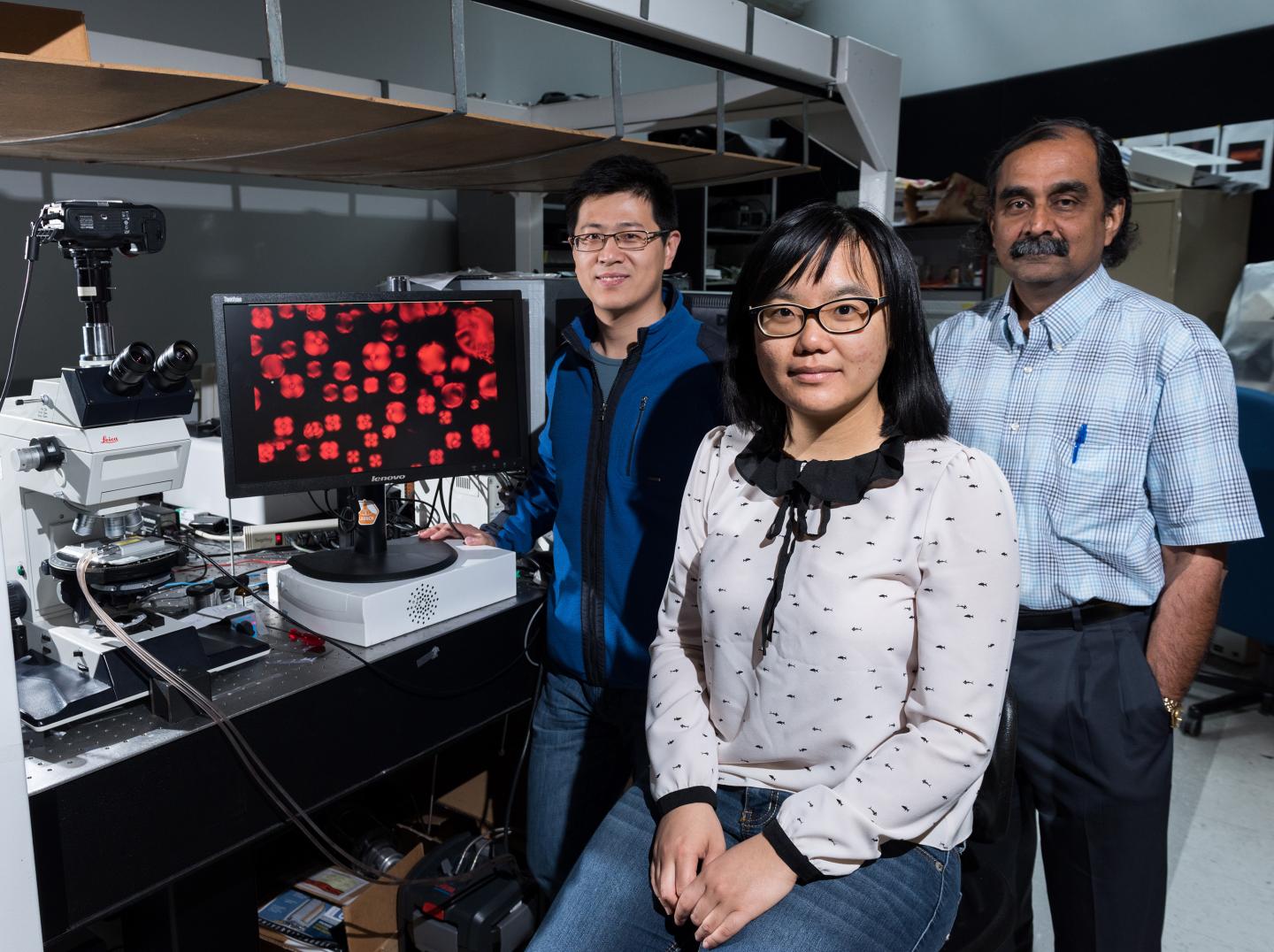 Jinxin Fu, Rui Chang and Mohan Srinivasarao, Georgia Institute of Technology 