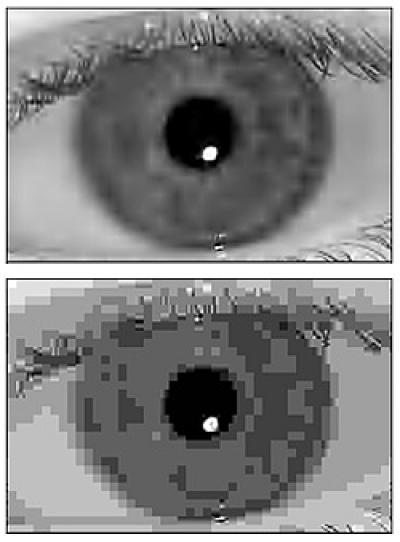 Iris Recognition: JPEG 2000 vs. JPEG