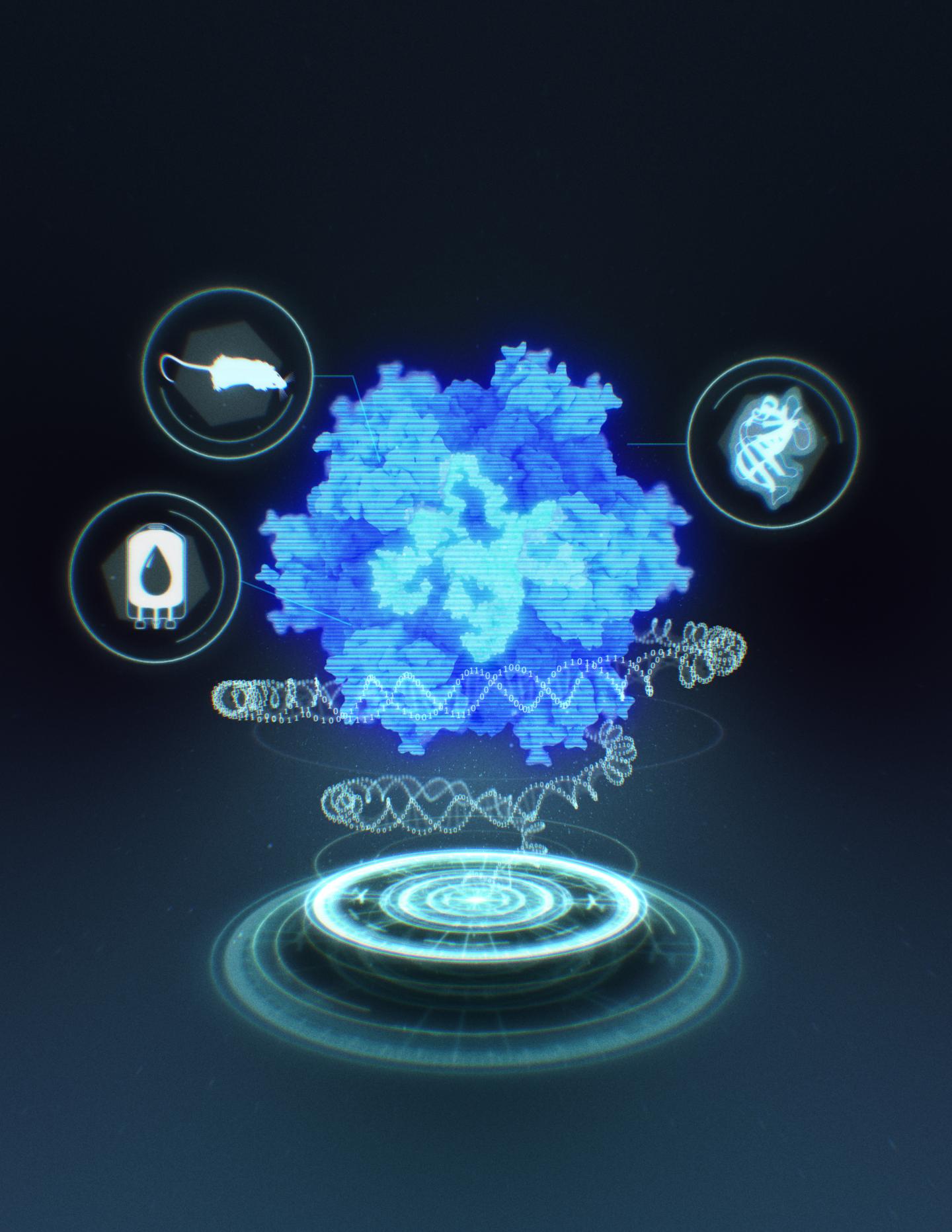 Synthetic Protein
