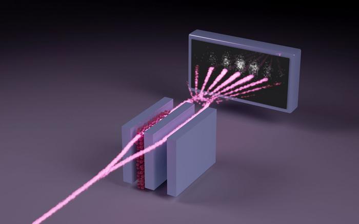 Processes in the X-ray interferometer